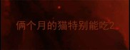俩个月的猫特别能吃
