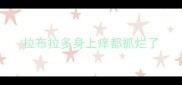 拉布拉多身上痒都抓烂了