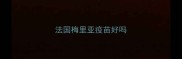 法国梅里亚疫苗好吗