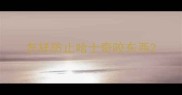 怎样防止哈士奇咬东西