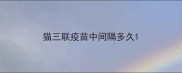 猫三联疫苗中间隔多久