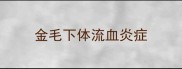 金毛下体流血炎症