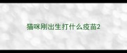 猫咪刚出生打什么疫苗