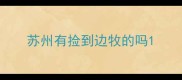苏州有捡到边牧的吗