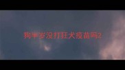 狗半岁没打狂犬疫苗吗