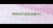 狗狗没打疫苗流鼻水