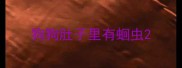 狗狗肚子里有蛔虫