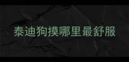 泰迪狗摸哪里最舒服