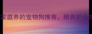新手必看这10种适合家庭养的宠物狗推荐附养护全攻略附品种对比表