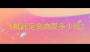 飞机托运宠物要多少钱