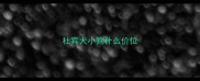 杜宾犬小狗什么价位