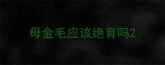 母金毛应该绝育吗