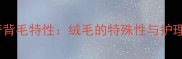 哈士奇背毛特性绒毛的特殊性与护理需求