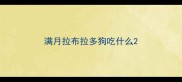 满月拉布拉多狗吃什么