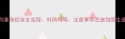 狗狗重做疫苗全流程时间间隔注意事项及宠物医生建议