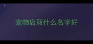 宠物店取什么名字好