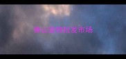 佛山宠物批发市场