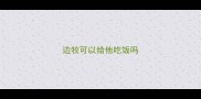 边牧可以给他吃饭吗