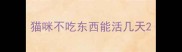 猫咪不吃东西能活几天