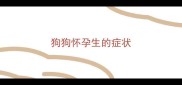 狗狗怀孕生的症状