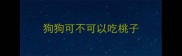 狗狗可不可以吃桃子