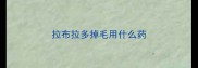 拉布拉多掉毛用什么药