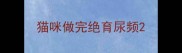 猫咪做完绝育尿频