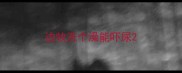 边牧洗个澡能吓尿