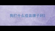 狗打什么疫苗牌子好
