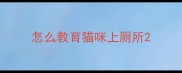怎么教育猫咪上厕所