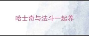 哈士奇与法斗一起养