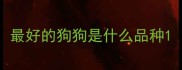 最好的狗狗是什么品种