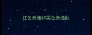 红色泰迪和黑色泰迪配