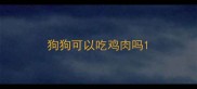 狗狗可以吃鸡肉吗
