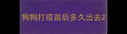 狗狗打疫苗后多久出去