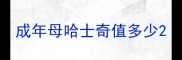 成年母哈士奇值多少
