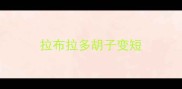 拉布拉多胡子变短