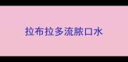 拉布拉多流脓口水
