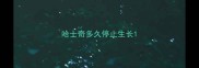 哈士奇多久停止生长