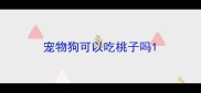宠物狗可以吃桃子吗