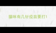 猫咪有几针疫苗要打