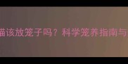 三个月大幼猫该放笼子吗科学笼养指南与注意事项全