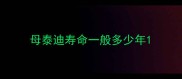 母泰迪寿命一般多少年