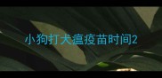 小狗打犬瘟疫苗时间