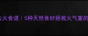泰迪狗去火食谱5种天然食材拯救火气重的毛孩子