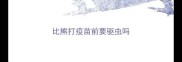比熊打疫苗前要驱虫吗
