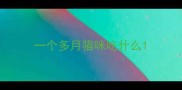 一个多月猫咪吃什么
