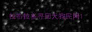 拉布拉多寻回犬狗民网