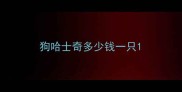 狗哈士奇多少钱一只