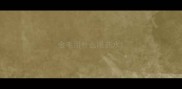 金毛用什么眼药水